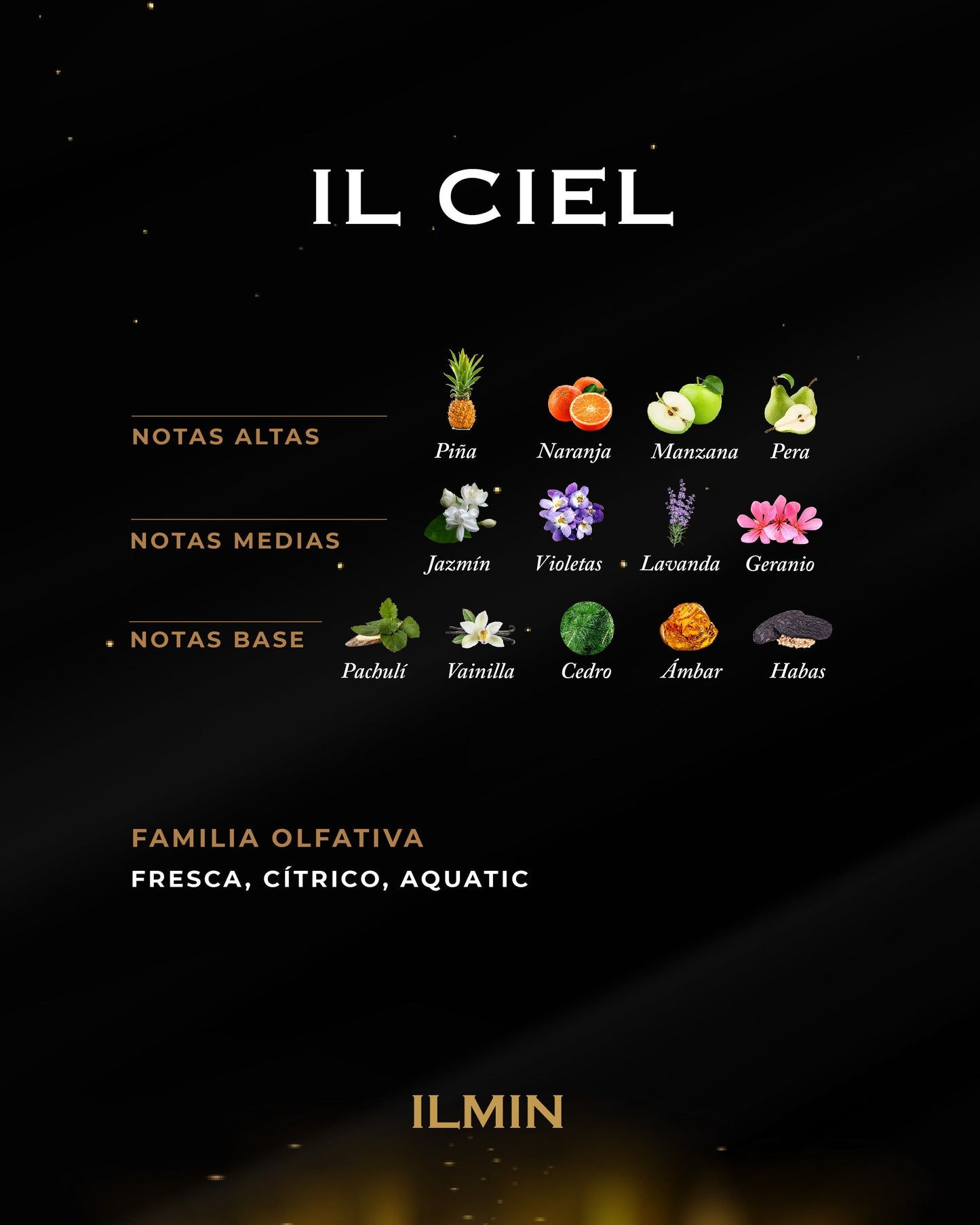 IL CIEL