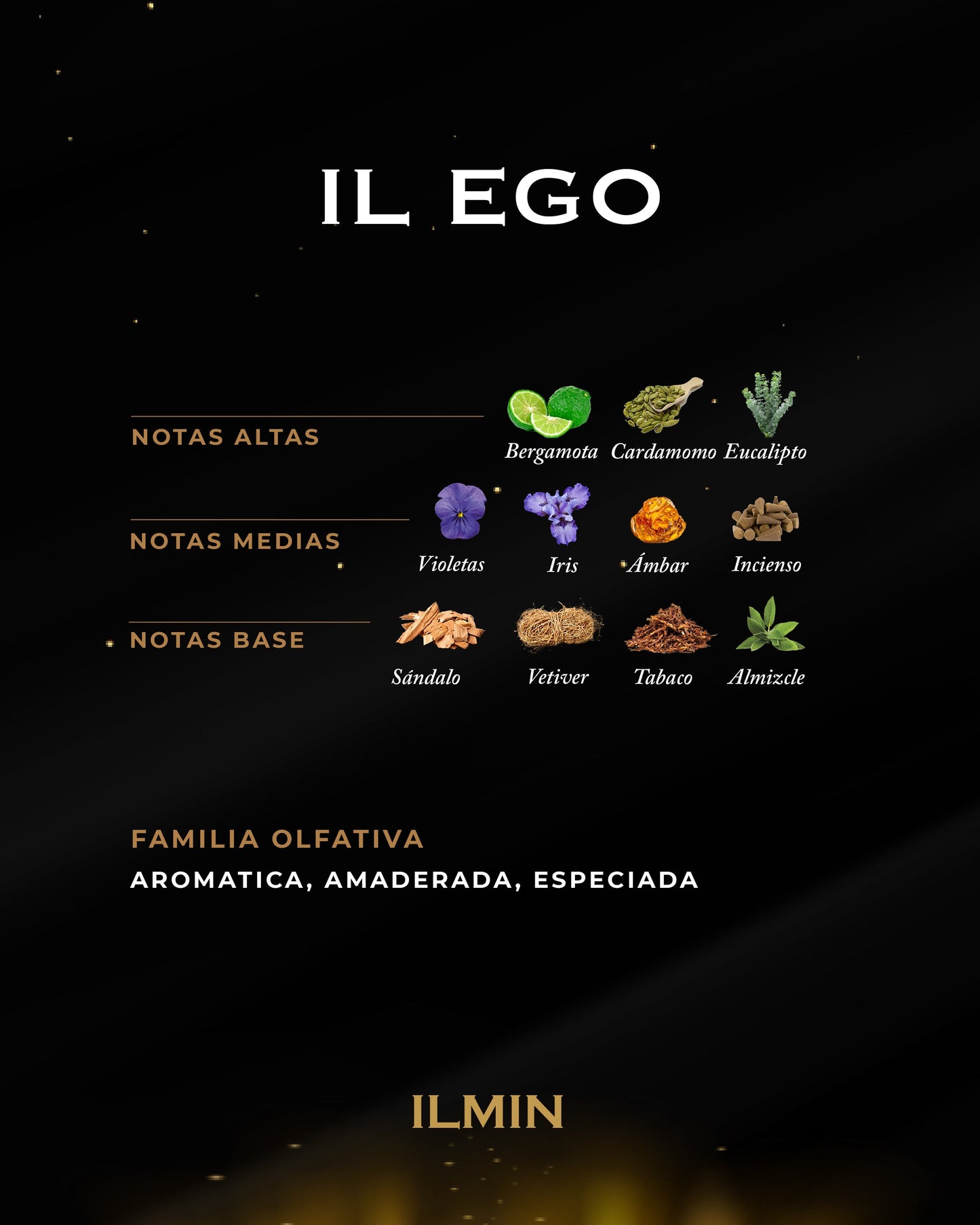 IL EGO
