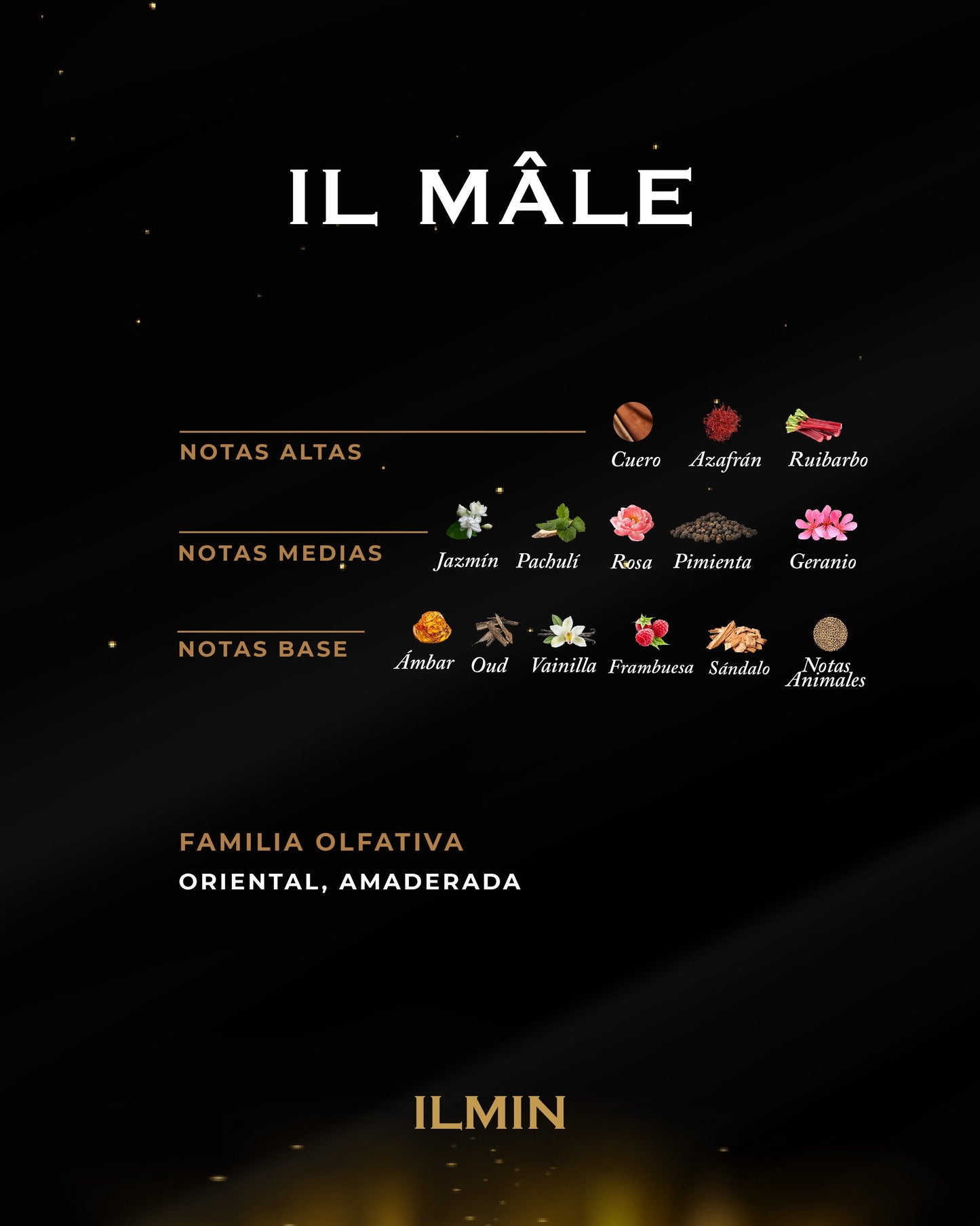 IL MÂLE