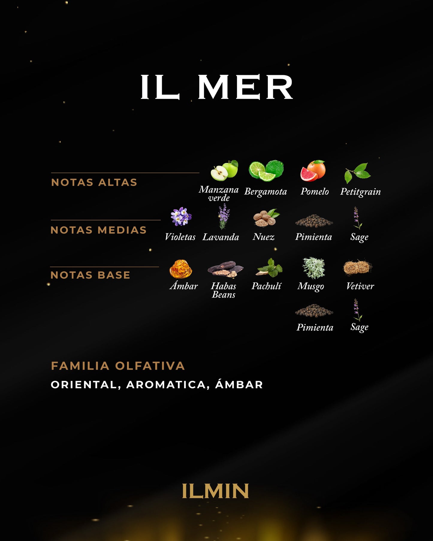 IL MER