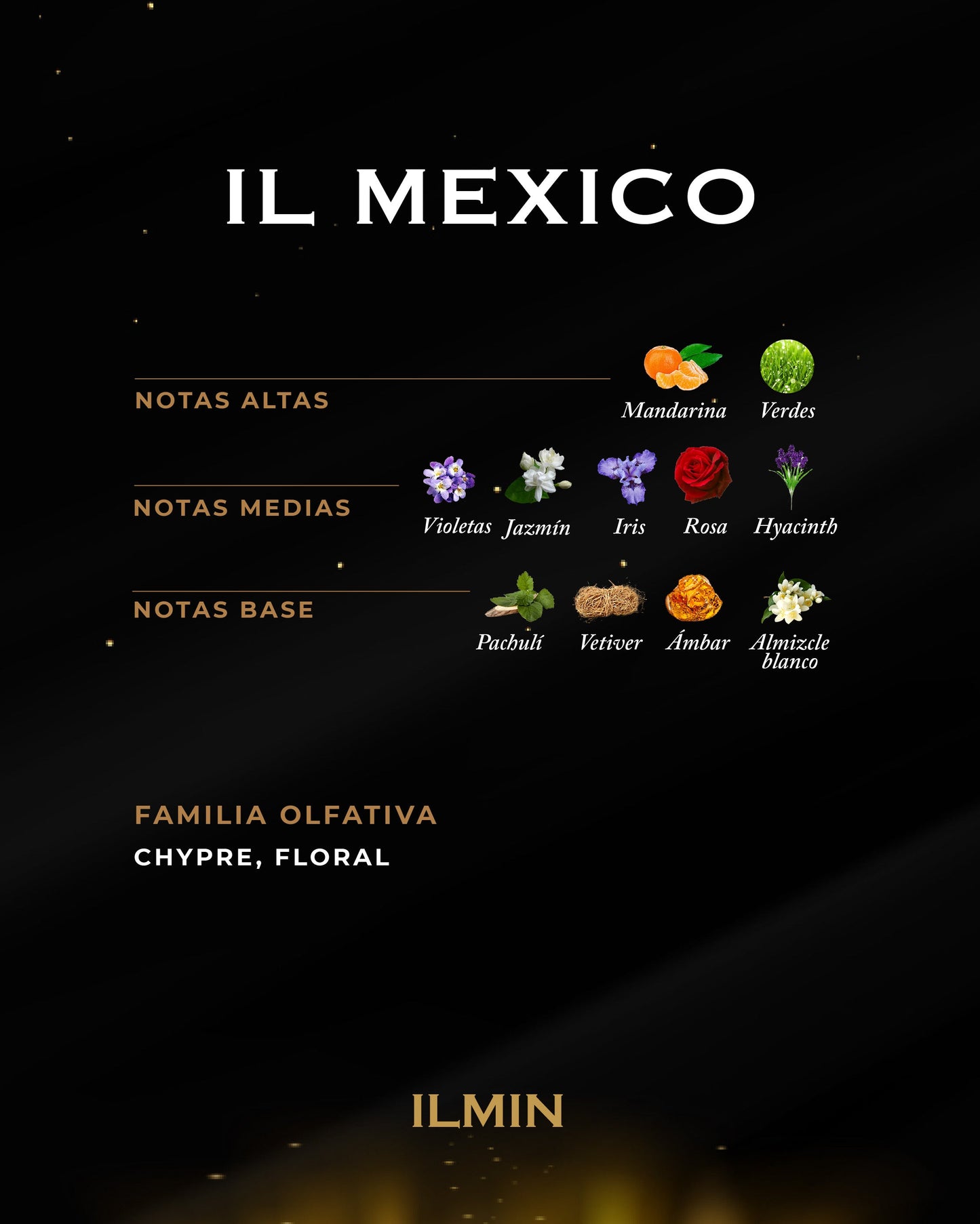 IL MEXICO