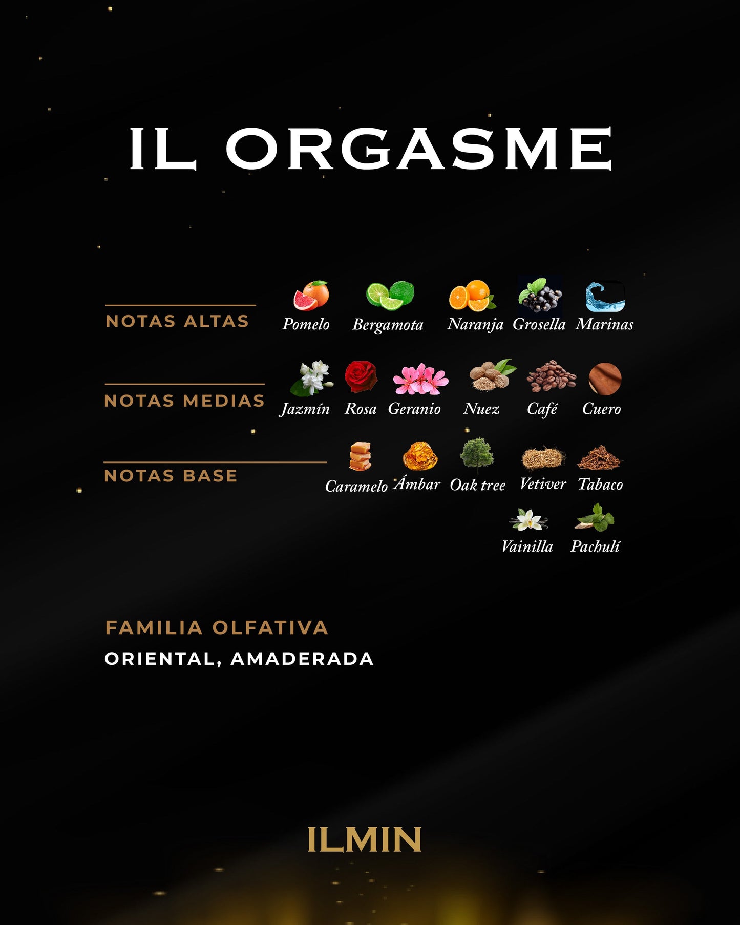 IL ORGASME