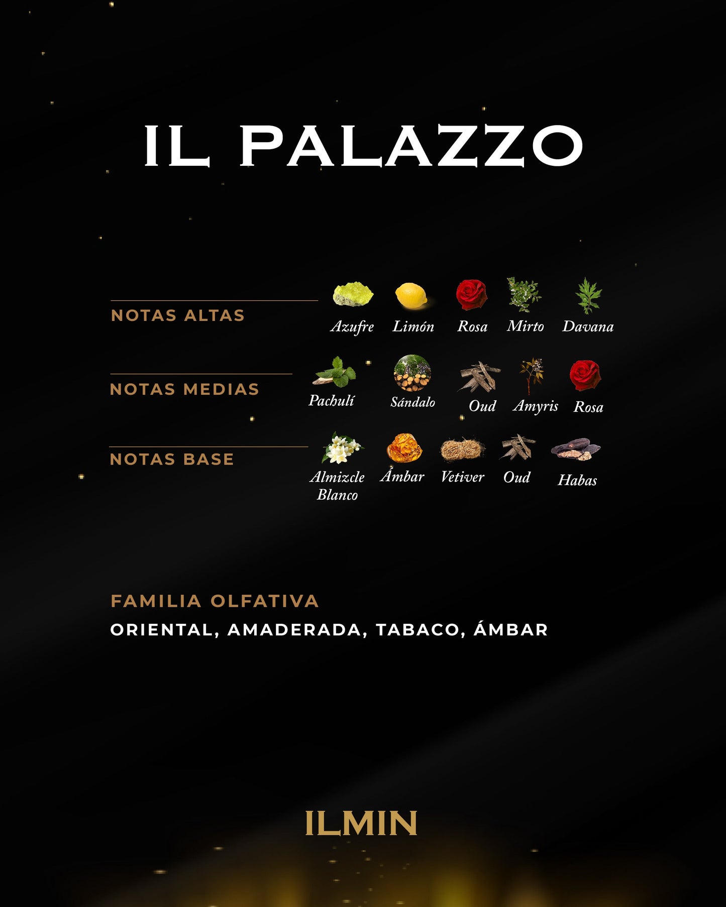 IL PALAZZO