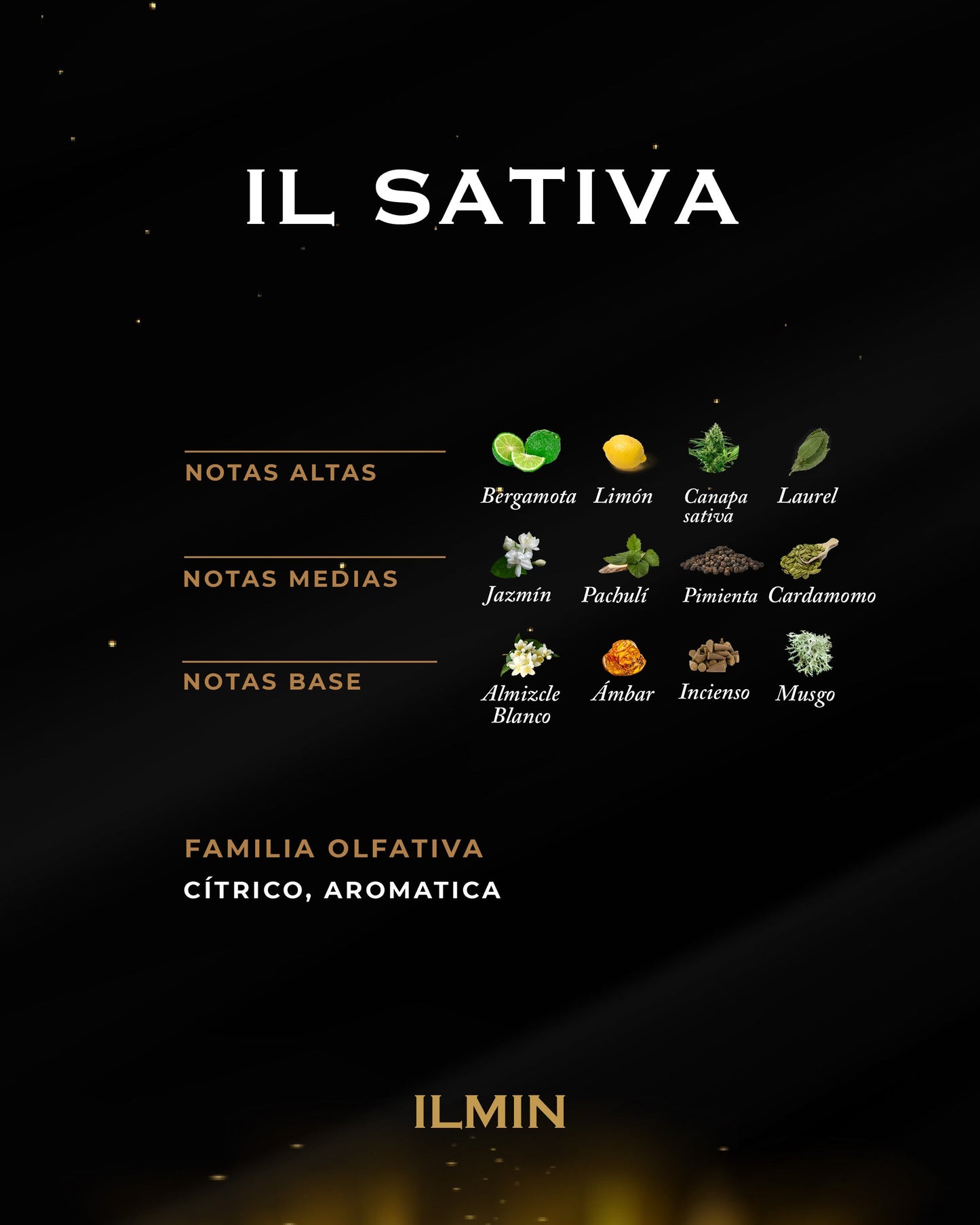 IL SATIVA