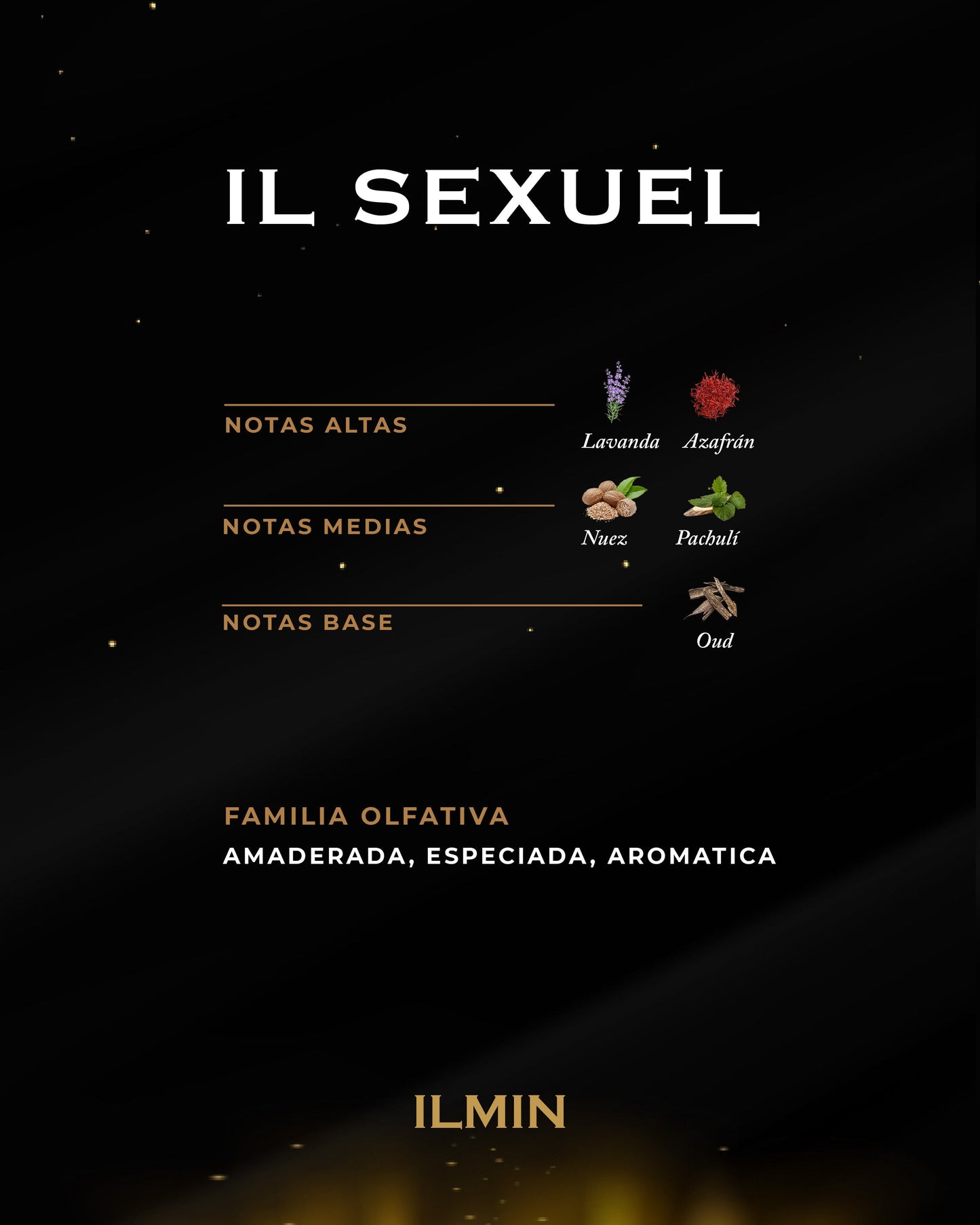 IL SEXUEL