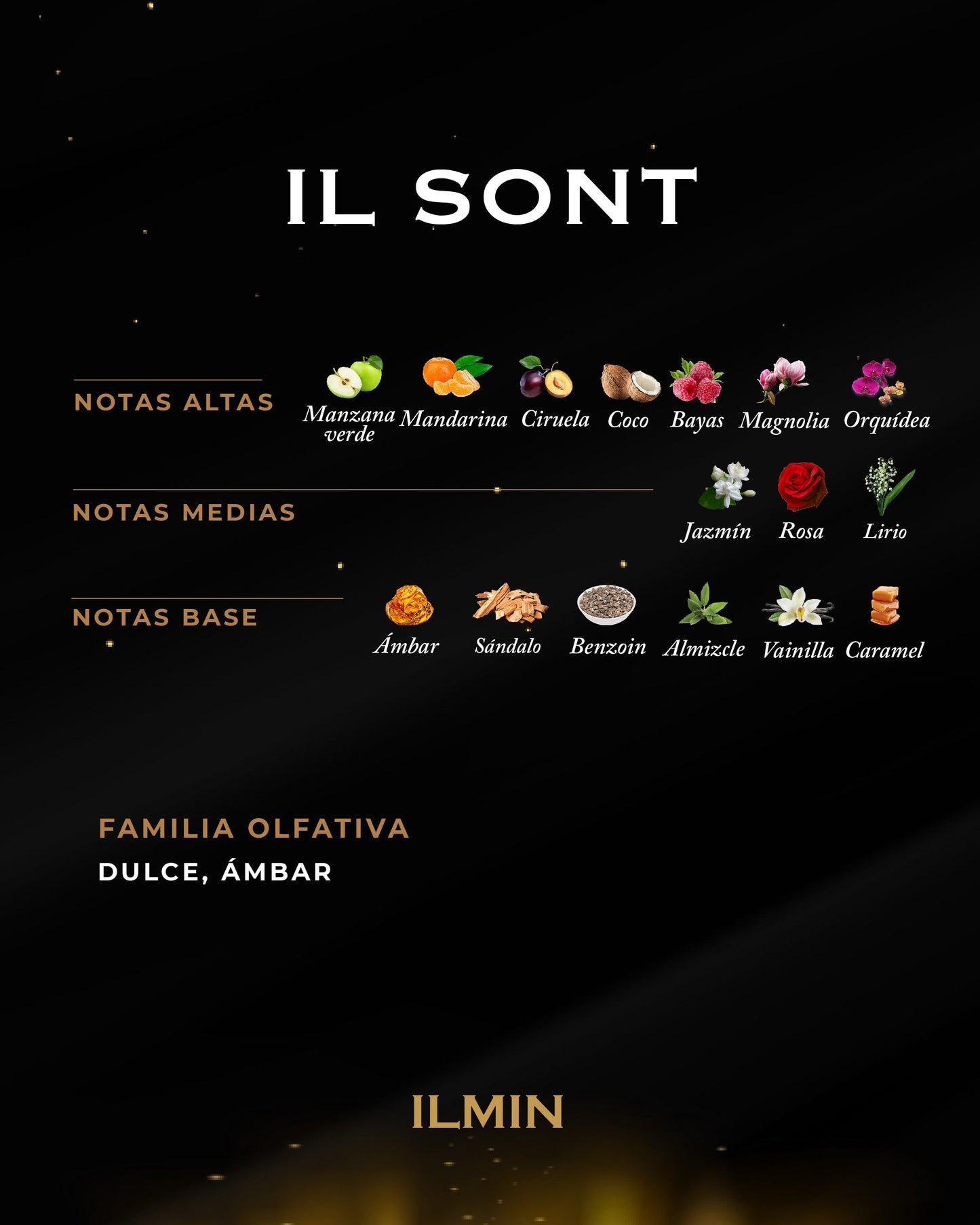 IL SONT